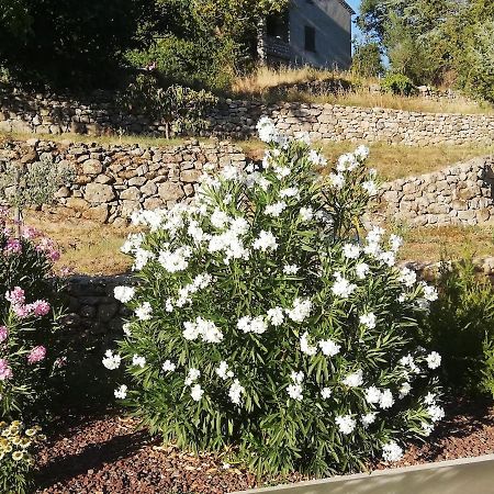 La Grangette Βίλα Joyeuse Εξωτερικό φωτογραφία